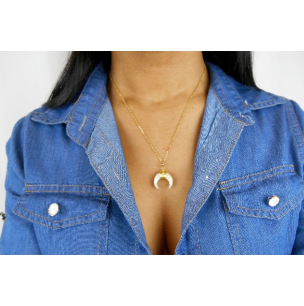 🆕️ Double Horn Necklace